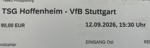 Tsg hoffenheim vfb - vs.,