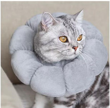 Schutzkragen für Katzen u kl Hunde  Leckschutz Atmungsaktiv Halskrause