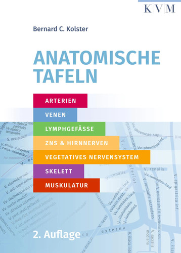 Anatomische tafeln bernard - anatomische,