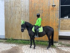 eskadron set: Springschabracke