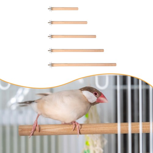 Vogelkäfig sitzstange aus - vogelkäfig,