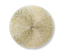 Tischset Platzset 38 cm rund