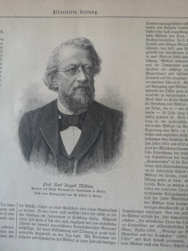 1895 zeitungsdruck 153 - 1895,