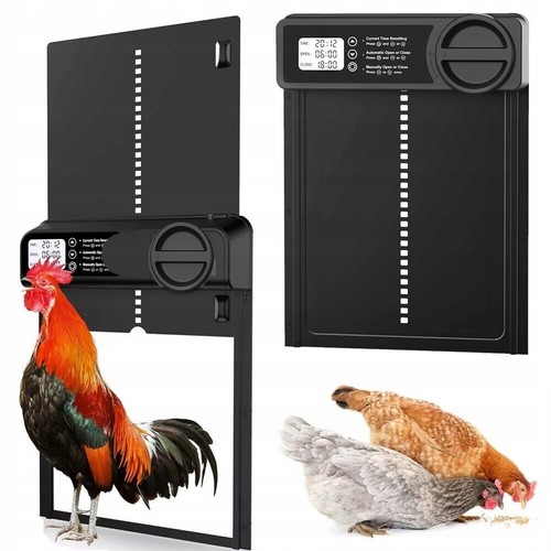 Hühnerklappe automatische - hühnerklappe,