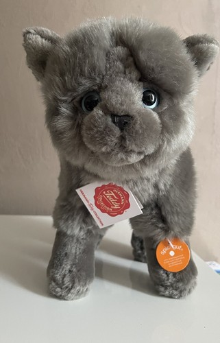 Teddy hermann kartäuser katze - kartäuser,