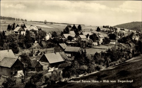 Tanne oberharz brocken - oberharz, am