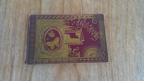 Altes poesiealbum von 1893 - altes,
