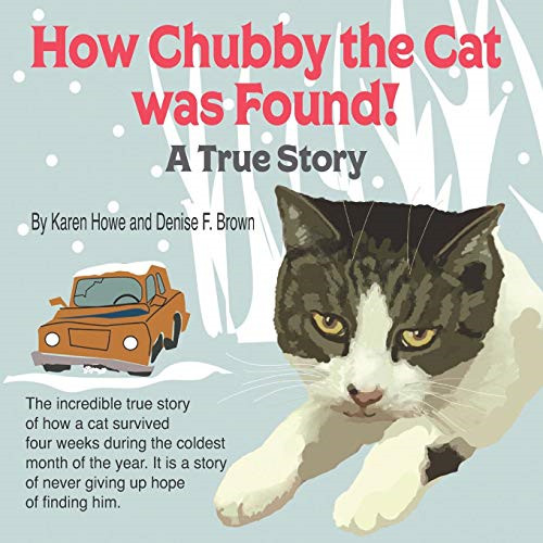 How chubby the cat was - chubby,