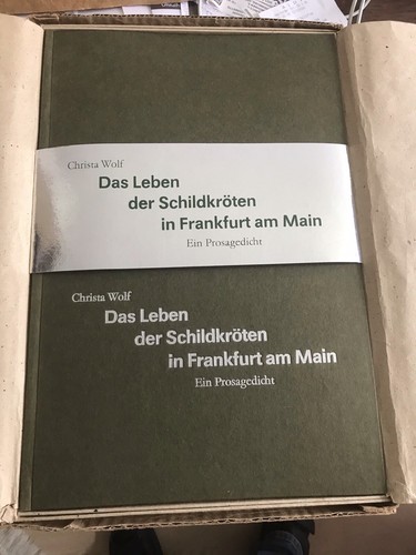 Das leben der schildkröten - das, in