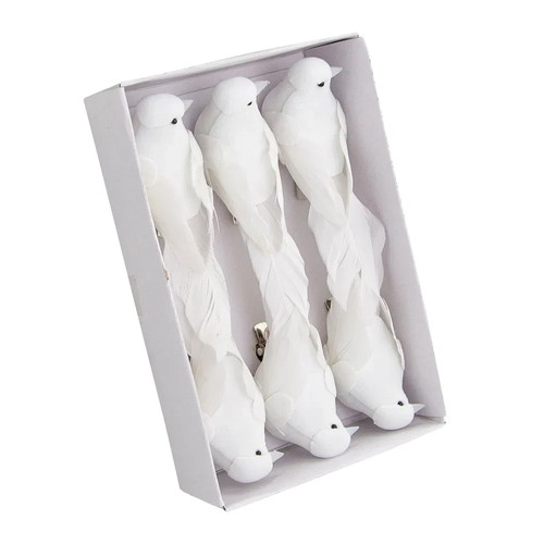 Tauben hochzeit - -,