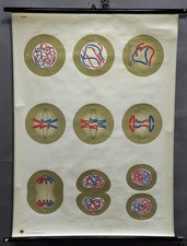 herunterziehbarer medizinischer Poster Druck blau rot Vintage Wandtafel Zellenspalt