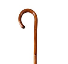 Stock-Fachmann Gehstock