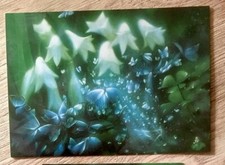 1 Postkarte, Schmetterlinge