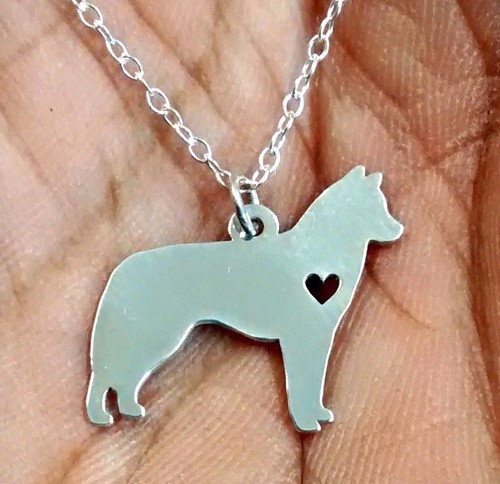 Siberian husky sterling - husky,