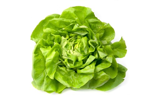 1000 samen kopfsalat kagraner - 1000,