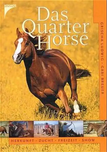 Das quarter horse - quarter,