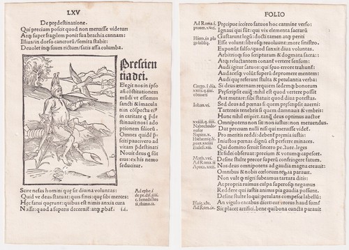 Gott vorsehung inkunabel - gott,