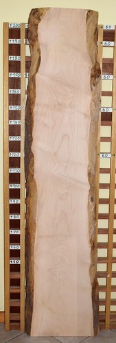 Ahorn bohle tischplatte - bohle,