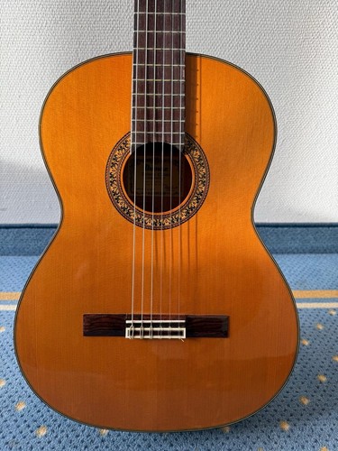 Ibanez ga100 konzertgitarre - ga100,