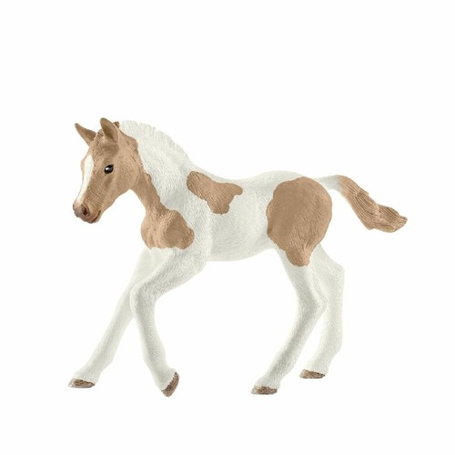 Horse club paint - horse, fohlen