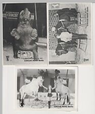 Zirkus  Erinnerung an Circus Renz  3 Fotos Format , Elefant , Pferde , 15x10,5cm