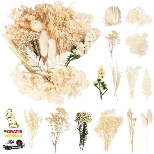Trockenblumen mini - trockenblumen,