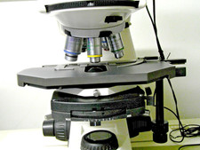 Zeiss :   Axioskop  mit Phase und DIC. Bieten statt beobachten !