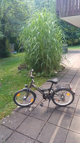 Pegasus arcona fun 20 - pegasus,
