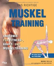 Das richtige muskel training - das,