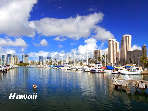 Kühlschrankmagnet honolulu - kühlschrankmagnet,