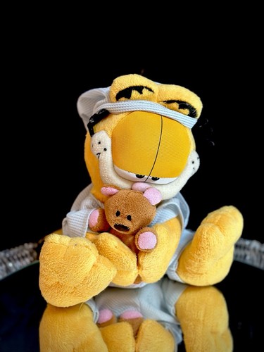 Original garfield teddy pooky - teddy,