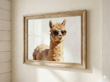 Coole Alpaka Sonnenbrille