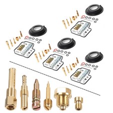 Vergaser-Reparatursatz für