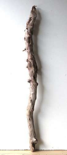 Treibholz schwemmholz - treibholz,