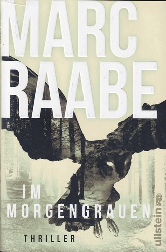 Morgengrauen thriller von - im,