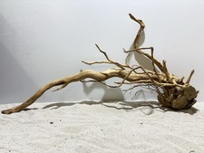 rote Moorwurzel Redwood