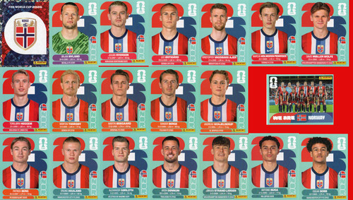 Panini 2026 sticker - panini,