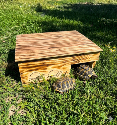 Schildkrötenhaus unterschlupf - schildkrÖtenhaus,