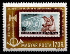 Weltraumhunde. Hündin-Kosmonautin Laika. 1W. Ungarn 1963