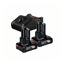 Bosch Akku Starter-Set: 2 x