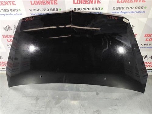 Motorhaube 258076 mitsubishi - 258076,