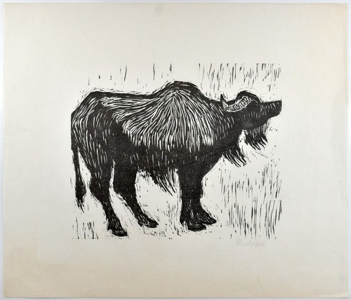 Rudolph wasserbüffel - rudolph,,
