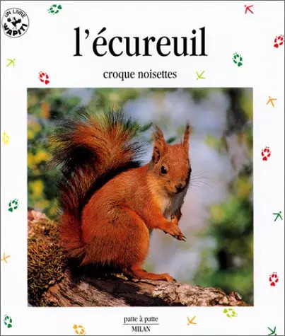 Ecureuil croque noisettes - l'ecureuil.,