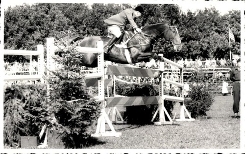 Foto springreiten sprung - foto, ak