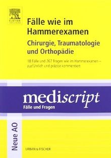 Fälle wie hammerexamen - fälle, im