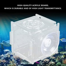 Mini Aquarium Terrarium