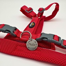 Y-Hundegeschirr + gravierte Hundemarke, gepolstert, reflektierende Nähte