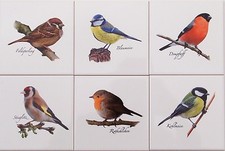 15x15 Küchenfliesen mit Vogeldekor Blaumeise Feldsperling Kohlmeise Stieglitz