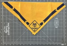 Vintage Pfadfinder Von Amerika