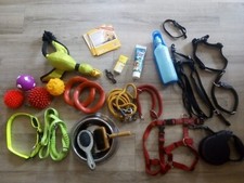Riiieesen Hunde Ausstattung Set: Halsbänder, Leinen, Spielzeug uvm